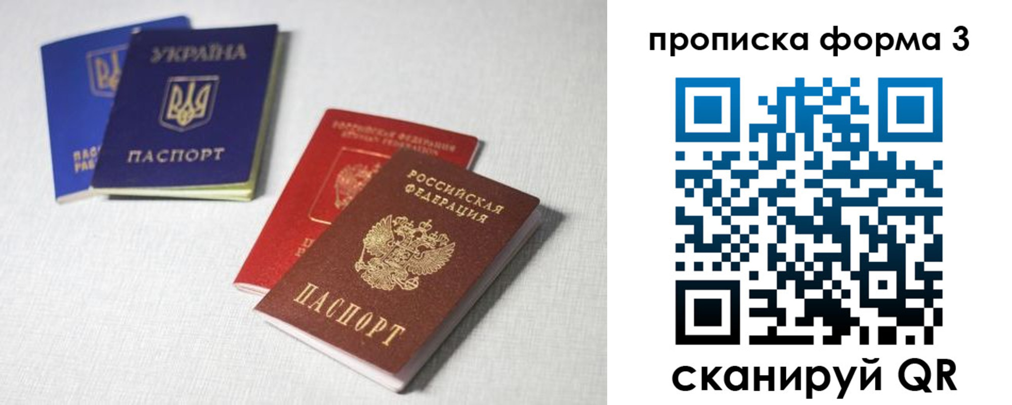 временная регистрация 2025 в Мончегорске